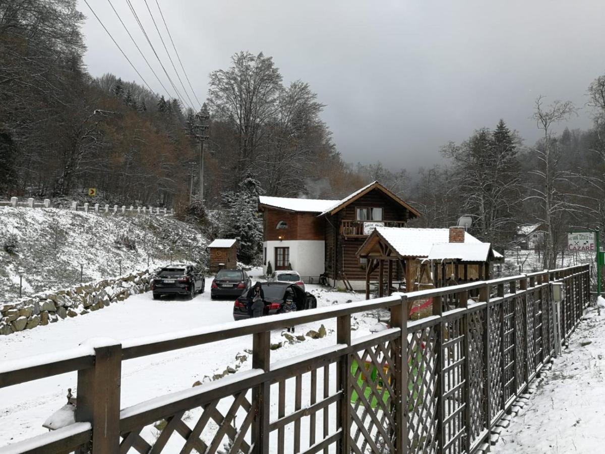 Cabana Rustic Balea Cîrţişoara Exteriör bild