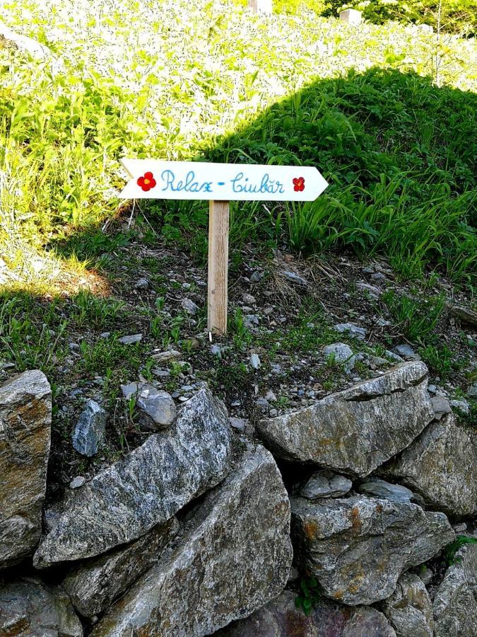Cabana Rustic Balea Cîrţişoara Exteriör bild