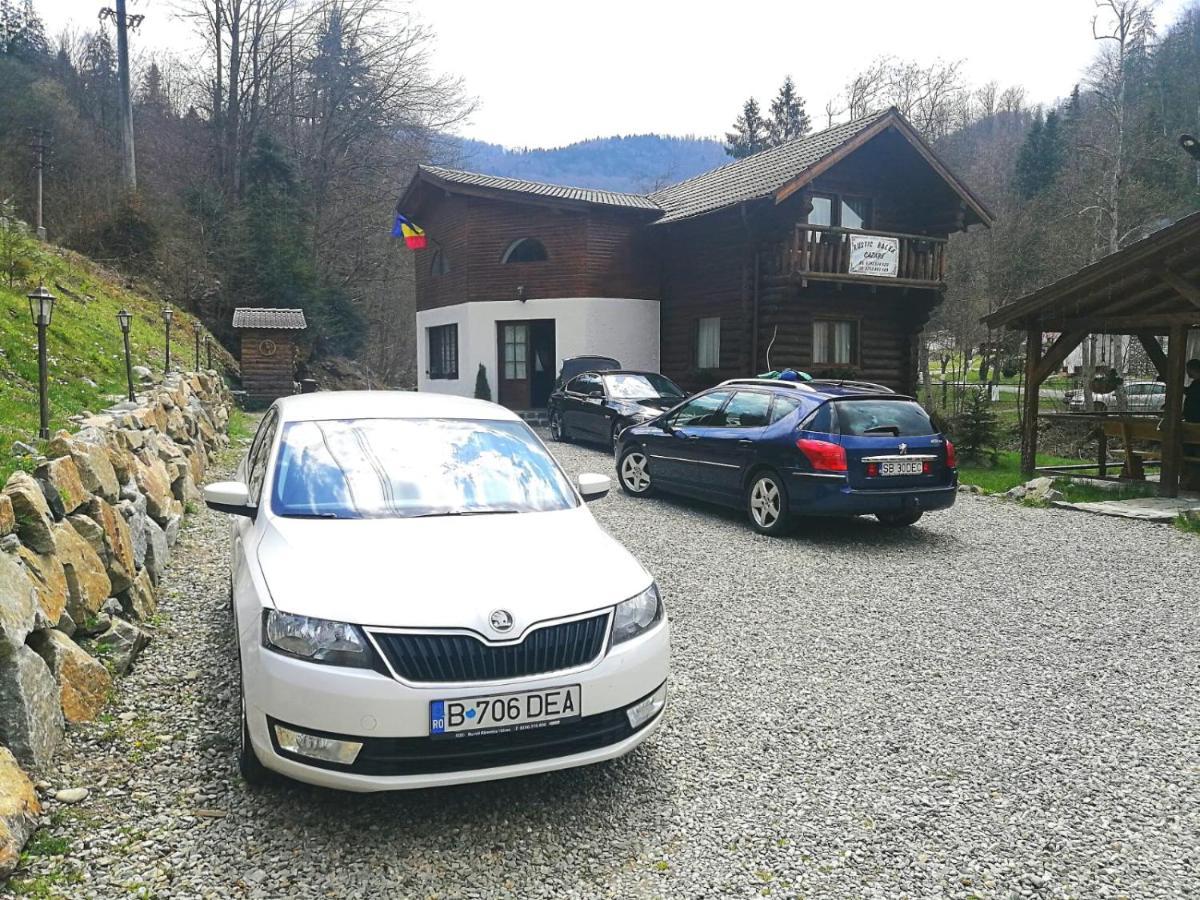 Cabana Rustic Balea Cîrţişoara Exteriör bild