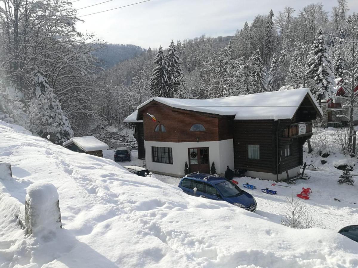 Cabana Rustic Balea Cîrţişoara Exteriör bild