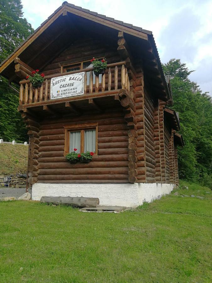 Cabana Rustic Balea Cîrţişoara Exteriör bild