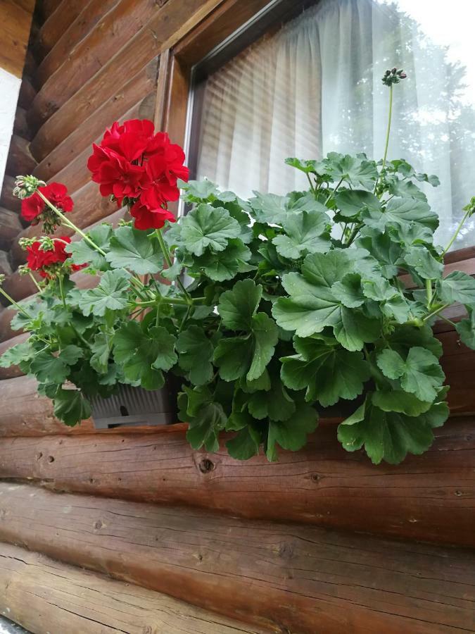 Cabana Rustic Balea Cîrţişoara Exteriör bild