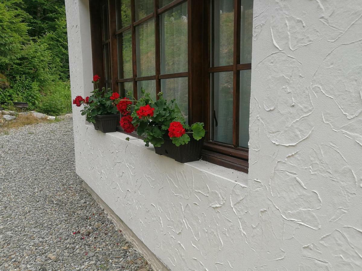 Cabana Rustic Balea Cîrţişoara Exteriör bild