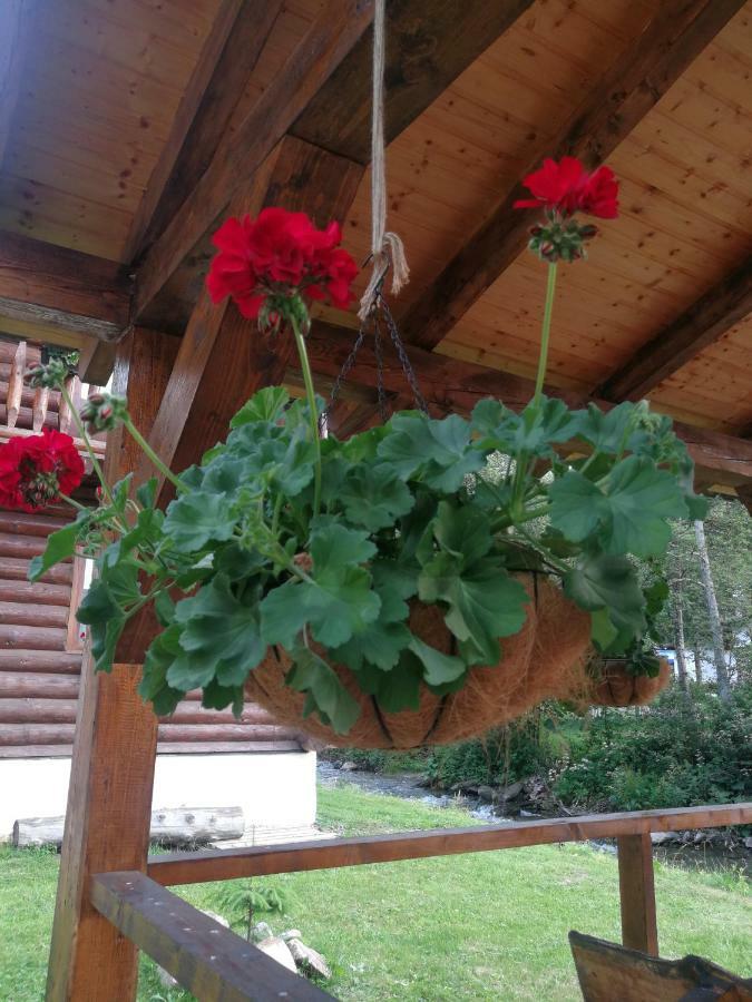 Cabana Rustic Balea Cîrţişoara Exteriör bild