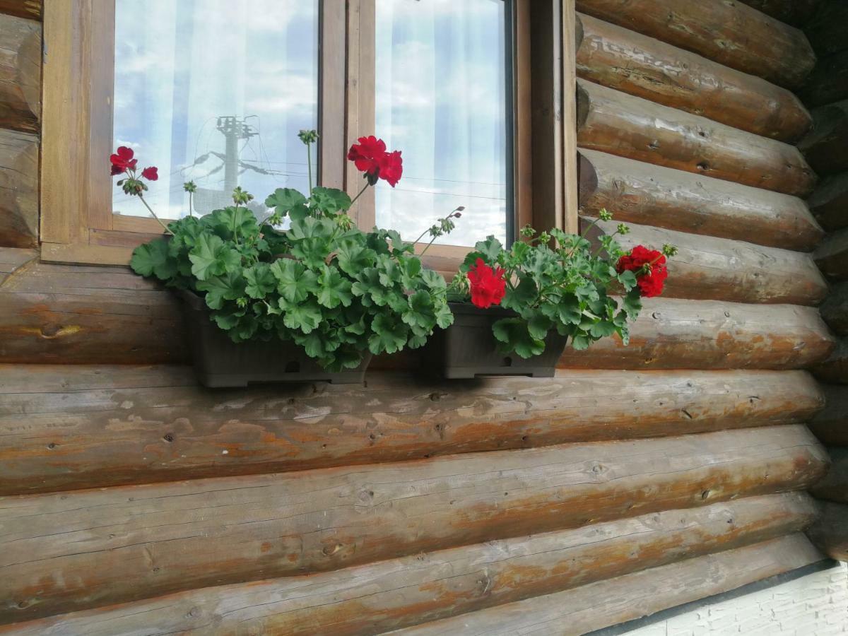 Cabana Rustic Balea Cîrţişoara Exteriör bild